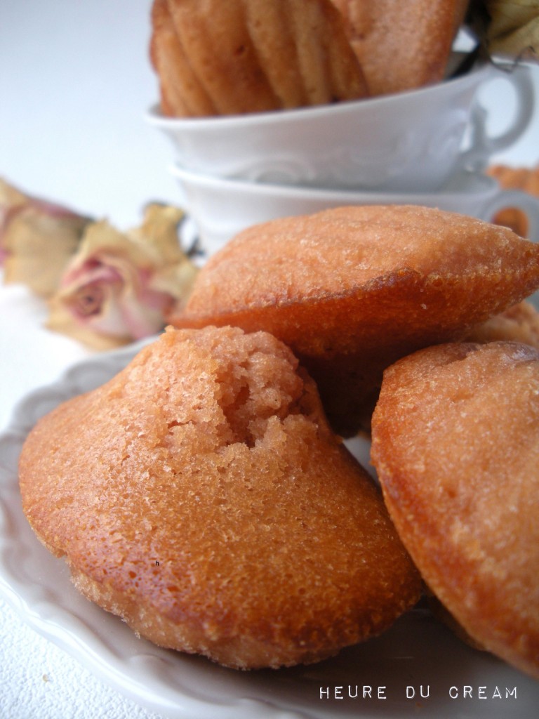 madeleines