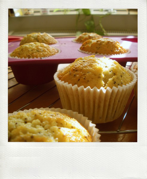 muffins citron pavot